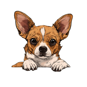 Cute Chihuahua Illustration V2 Vinyl Car Decal Sticker – Waterproof & UV-Resistant 3.4133333333333336"