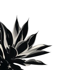 Tilted Agave Illustration Vinyl Car Decal Sticker – Waterproof & UV-Resistant 3.4133333333333336"