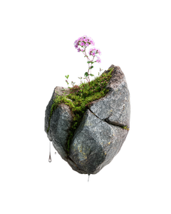Floating Mossy Rock V6 Vinyl Car Decal Sticker – Waterproof & UV-Resistant 4.0"