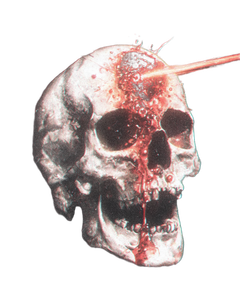 Skull Shot Forehead Vinyl Car Decal Sticker – Waterproof & UV-Resistant 8.0"