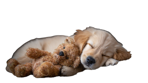 Sleeping Puppy Teddy V7 Vinyl Car Decal Sticker – Waterproof & UV-Resistant 2.72"