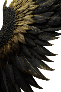 Golden Wings V3 Vinyl Car Decal Sticker – Waterproof & UV-Resistant 8.96"