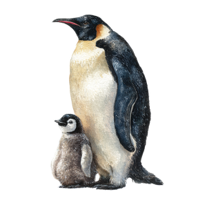 Penguin With Baby Vinyl Car Decal Sticker – Waterproof & UV-Resistant 3.4133333333333336"