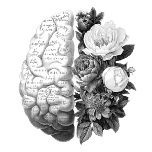 Brain Hemispheres Contrast Vinyl Car Decal Sticker – Waterproof & UV-Resistant 6.826666666666667"