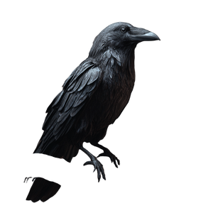 Realistic Raven Closeup Vinyl Car Decal Sticker – Waterproof & UV-Resistant 3.4133333333333336"
