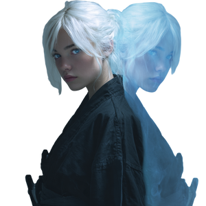 Martial Arts Doppelganger Vinyl Car Decal Sticker – Waterproof & UV-Resistant 3.4133333333333336"