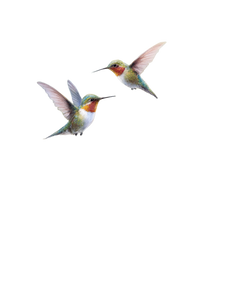 Hummingbirds Above Flowers Vinyl Car Decal Sticker – Waterproof & UV-Resistant 4.16"