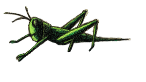 Dead Cartoon Grasshopper Vinyl Car Decal Sticker – Waterproof & UV-Resistant 2.72"