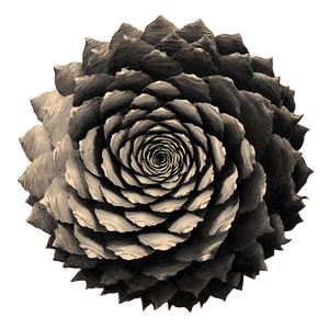 Pinecone Spiral Scales Vinyl Car Decal Sticker – Waterproof & UV-Resistant 3.4133333333333336"