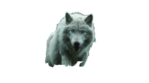 Majestic White Wolf V9 Vinyl Car Decal Sticker – Waterproof & UV-Resistant 2.72"