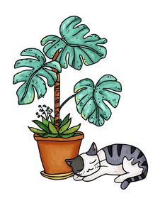 Cartoon Cat Lounging V2 Vinyl Car Decal Sticker – Waterproof & UV-Resistant 8.213333333333333"