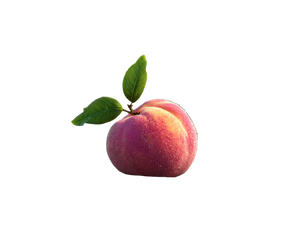 Giant Pink Peach Vinyl Car Decal Sticker – Waterproof & UV-Resistant 6.1866666666666665"