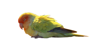 Parrot On Surfboard Vinyl Car Decal Sticker – Waterproof & UV-Resistant 2.72"