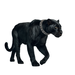 Jeweled Panther Stride Vinyl Car Decal Sticker – Waterproof & UV-Resistant 3.4133333333333336"
