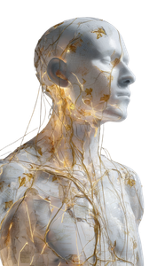 Dissolving Anatomical Sculpture Vinyl Car Decal Sticker – Waterproof & UV-Resistant 4.8533333333333335"