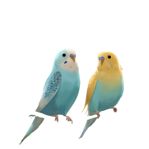 Budgie Birthday Invitation Vinyl Car Decal Sticker – Waterproof & UV-Resistant 6.826666666666667"