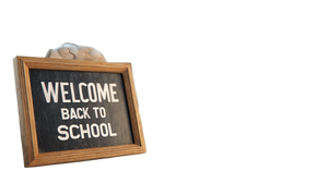 School Supplies Display Vinyl Car Decal Sticker – Waterproof & UV-Resistant 5.4