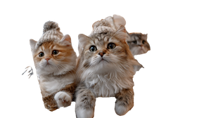 Cats On Swing Ride Vinyl Car Decal Sticker – Waterproof & UV-Resistant 5.4