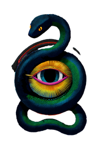 Psychedelic Snake Eye Vinyl Car Decal Sticker – Waterproof & UV-Resistant 8.853333333333333"