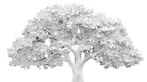 Abstract White Tree Vinyl Car Decal Sticker – Waterproof & UV-Resistant 5.4
