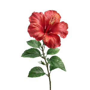 Hibiscus Flower V7 Vinyl Car Decal Sticker – Waterproof & UV-Resistant 6.826666666666667"