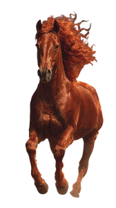 Fiery Red Horse V3 Vinyl Car Decal Sticker – Waterproof & UV-Resistant 9.706666666666667"