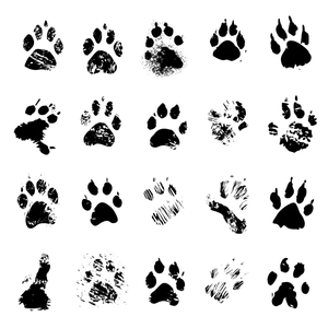 Animal Tracks Silhouette Vinyl Car Decal Sticker – Waterproof & UV-Resistant 6.826666666666667"