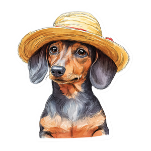 Cute Dachshund Sticker Vinyl Car Decal Sticker – Waterproof & UV-Resistant 3.4133333333333336"