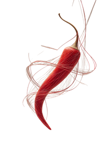 Thread-Woven Chili Vinyl Car Decal Sticker – Waterproof & UV-Resistant 8.213333333333333"