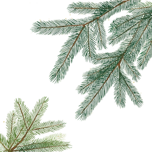 Vector Tree Branches V2 Vinyl Car Decal Sticker – Waterproof & UV-Resistant 6.826666666666667"