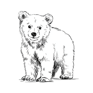 Realistic Baby Bear Vinyl Car Decal Sticker – Waterproof & UV-Resistant 3.4133333333333336"