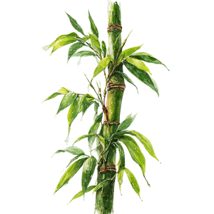 Bamboo Stalk Illustration Vinyl Car Decal Sticker – Waterproof & UV-Resistant 6.826666666666667"