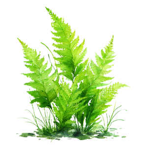 Watercolor Fern Clumps Vinyl Car Decal Sticker – Waterproof & UV-Resistant 6.826666666666667"