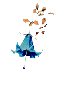 Flower V60 Vinyl Car Decal Sticker – Waterproof & UV-Resistant 8.96"