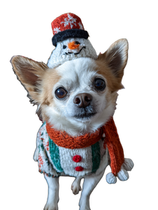 Chihuahua Snowman Costume Vinyl Car Decal Sticker – Waterproof & UV-Resistant 8.213333333333333"
