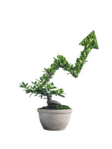 Arrow-Shaped Bonsai Vinyl Car Decal Sticker – Waterproof & UV-Resistant 8.213333333333333"
