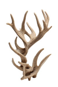 Ceramic Antler Sculpture V2 Vinyl Car Decal Sticker – Waterproof & UV-Resistant 4.4