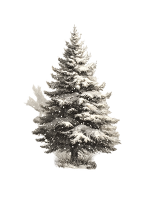 Snowy Fir Tree Vinyl Car Decal Sticker – Waterproof & UV-Resistant 4.1066666666666665"