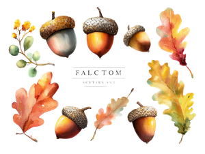 Fall Acorn Elements V2 Vinyl Car Decal Sticker – Waterproof & UV-Resistant 6.1866666666666665"