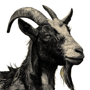Goat Illustration Vinyl Car Decal Sticker – Waterproof & UV-Resistant 6.826666666666667"