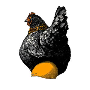Smiling Hen Incubating Vinyl Car Decal Sticker – Waterproof & UV-Resistant 3.4133333333333336"