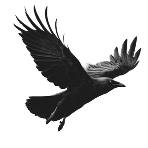 Flying Raven Emblem Vinyl Car Decal Sticker – Waterproof & UV-Resistant 3.4133333333333336"