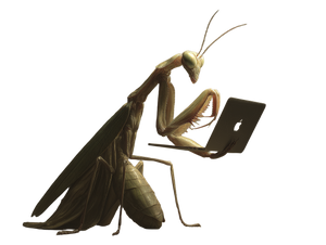 Praying Mantis With Macbook Vinyl Car Decal Sticker – Waterproof & UV-Resistant 6.1866666666666665"