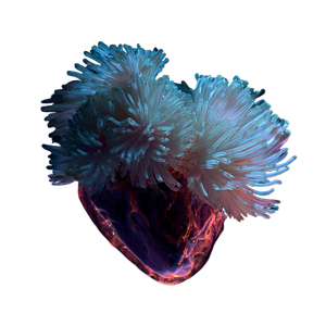 Luminous Anemone Heart Vinyl Car Decal Sticker – Waterproof & UV-Resistant 3.4133333333333336"