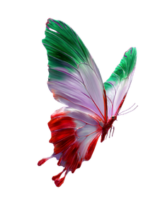 Iran Flag Butterfly Vinyl Car Decal Sticker – Waterproof & UV-Resistant 8.213333333333333"