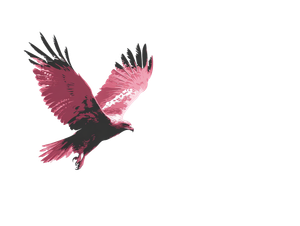 Pink Black Eagle Vinyl Car Decal Sticker – Waterproof & UV-Resistant 6.1866666666666665"