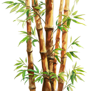 Bamboo Sticks Illustration Vinyl Car Decal Sticker – Waterproof & UV-Resistant 3.4133333333333336"