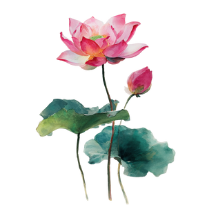 Reflected Lotus Blossoms Vinyl Car Decal Sticker – Waterproof & UV-Resistant 3.4133333333333336"