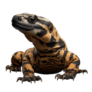 Gila Monster Vinyl Car Decal Sticker – Waterproof & UV-Resistant 3.4133333333333336"