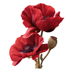 Poppy Flower Sticker Vinyl Car Decal Sticker – Waterproof & UV-Resistant 3.4133333333333336"
